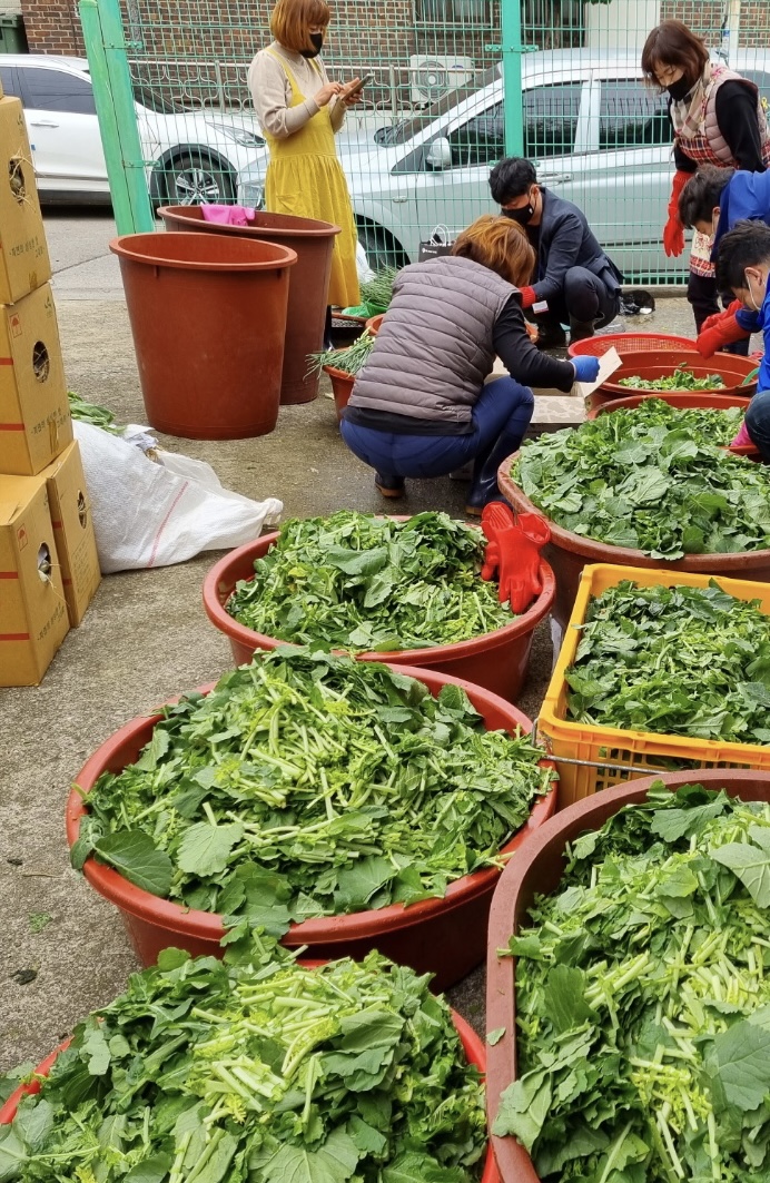 안산시 고잔동 새마을회, ‘고잔 명물 열무김치’ 하루만에 완판