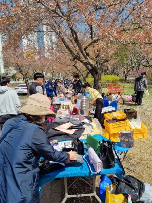 안산시 초지동, 화정천 벚꽃길 걷기 한마당 개최