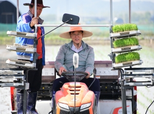 안산시, 본오뜰에서 풍년기원 모내기 행사