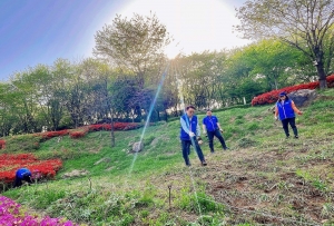 환경을 생각하는 선부2동 주민자치회, 샛터공원의 지속 가능한 변화