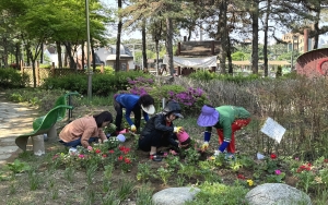 안산시 와동, 와리정원에 봄꽃 식재