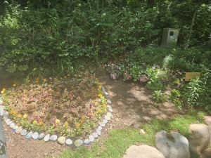 안산시 고잔동, 꽃향기 가득 여름맞이 꽃 심기