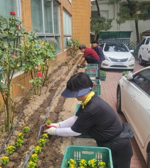 안산시 사동, 가을꽃 향기에 취하다