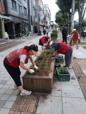 안산시 해양동, 계절꽃 식재로 풍성한 가을맞이