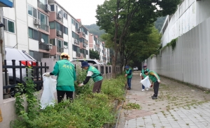 안산시 성포동 새마을회, 성포동 일대 제초작업 및 환경정비