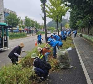안산시 고잔동, 추석맞이 환경 정비 및 가을꽃 식재