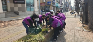 안산시 해양동, 봄꽃과 함께 시작하는 새봄맞이