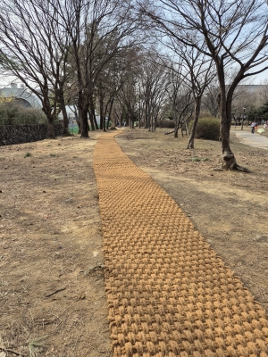 안산시 월피동 주민자치회, 시낭공원 산책로 야자매트 설치