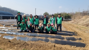 안산시 와동 새마을회, 사랑의 감자싹 틔워