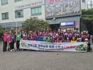 안산시 선부3동 주민자치회, 개복숭아 수확 행사 개최