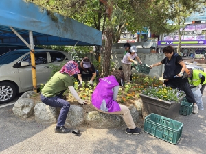 안산시 선부2동, 여름꽃 심어 주민에 아름다움 선사