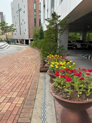 안산시 신길동, 여름꽃으로 물들다