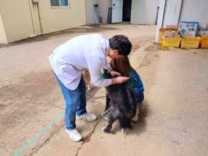 안산시, 22일부터 추계 광견병 예방접종 실시