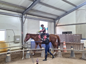 안산시, 학생승마체험 지원사업 시행… 청소년 정서·체력 향상 기대