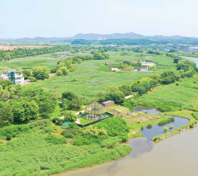 ‘안산 ’매력에 빠지다 ː안산갈대습지공원