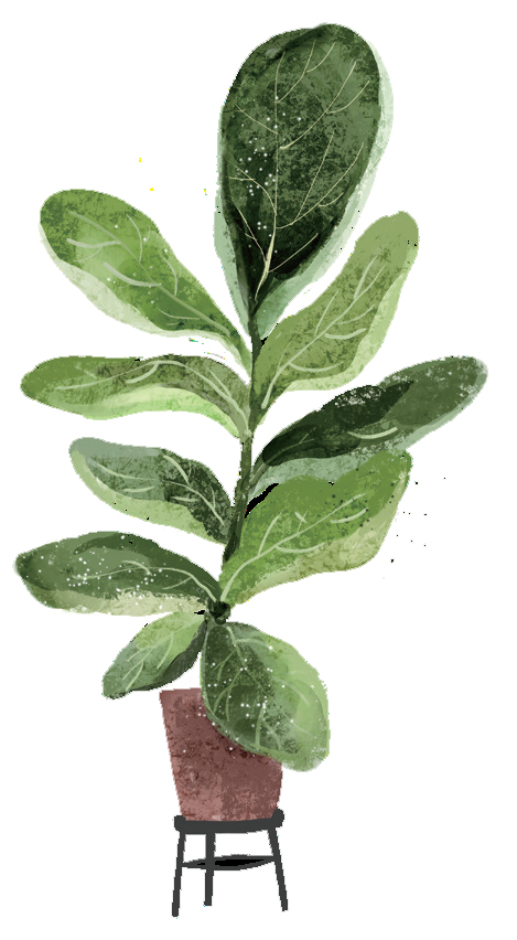 화분으로 전해진 따뜻한 마음