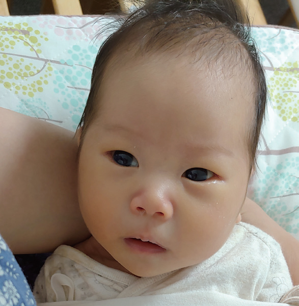 너의 탯줄을 자르며