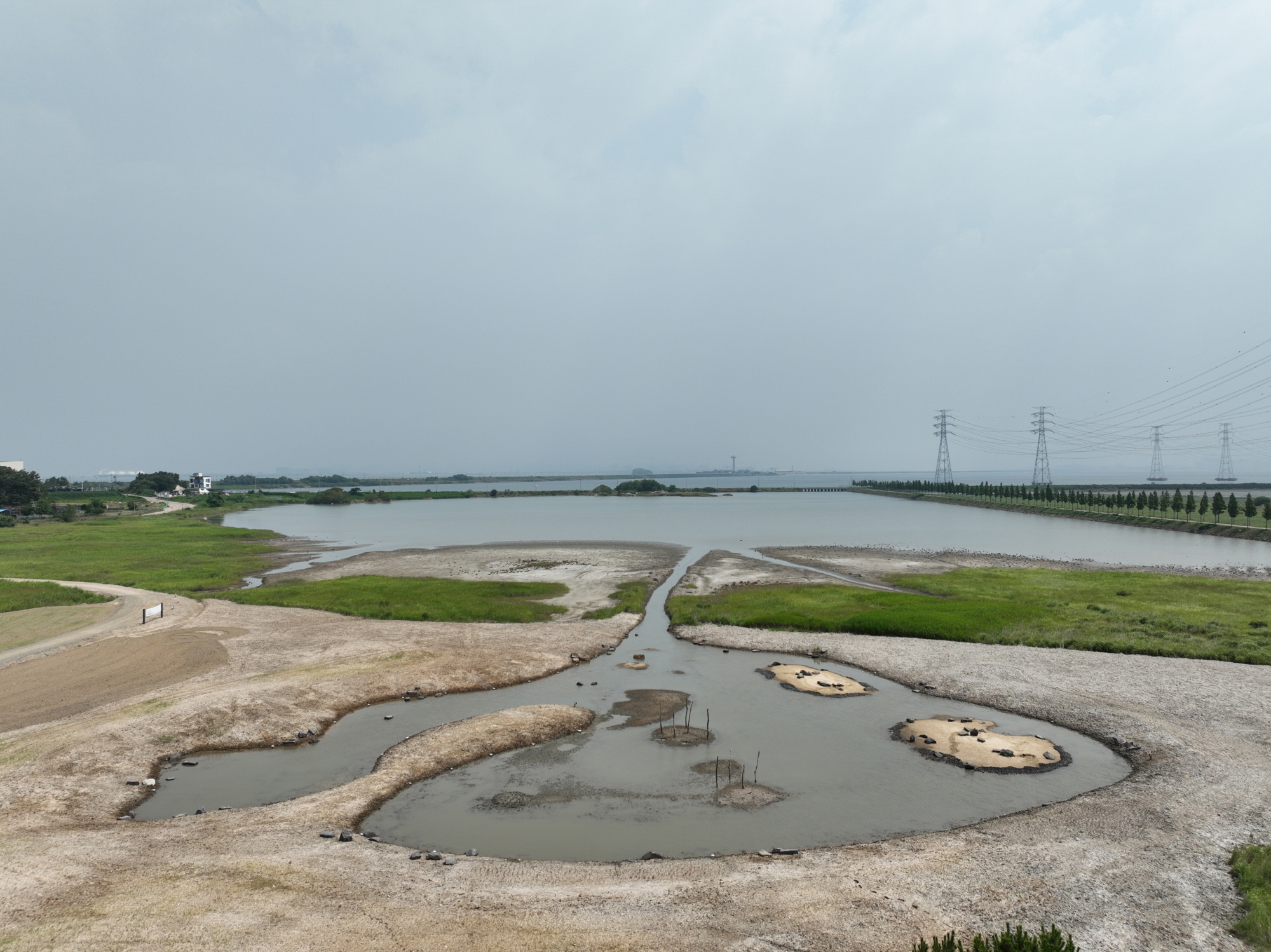 안산시, 멸종위기·갯벌 생물종 서식환경 복원… 지속 가능 생태도시로