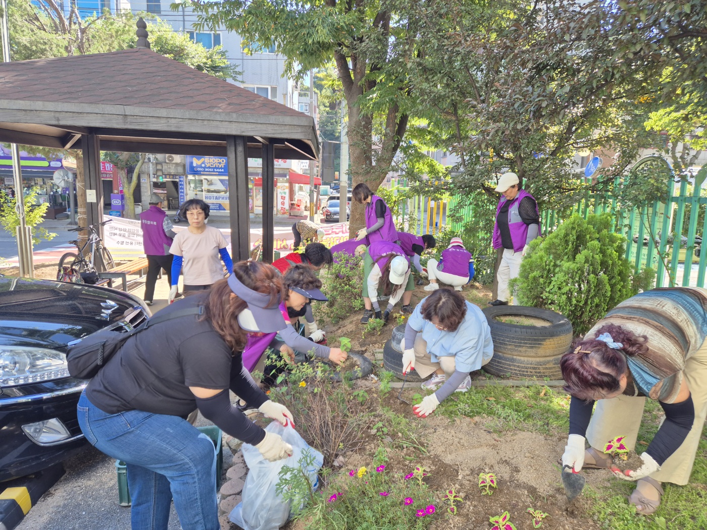 안산시 선부2동 통장협의회, 가을꽃 식재 활동 펼쳐