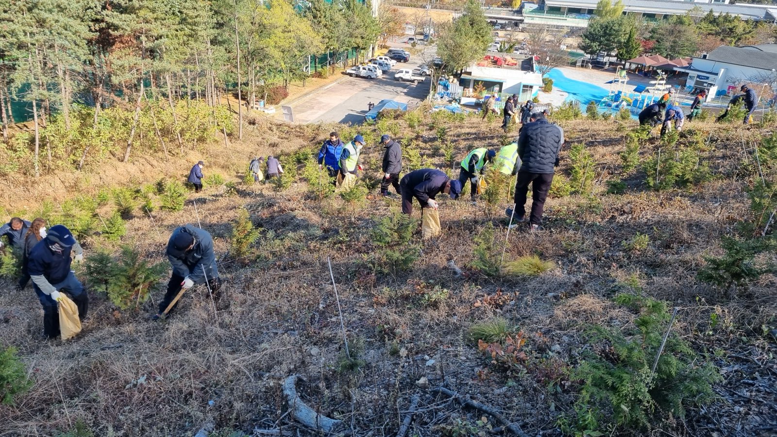 안산시, 숲가꾸기 기간 맞아 백운공원서 비료시비 행사 진행