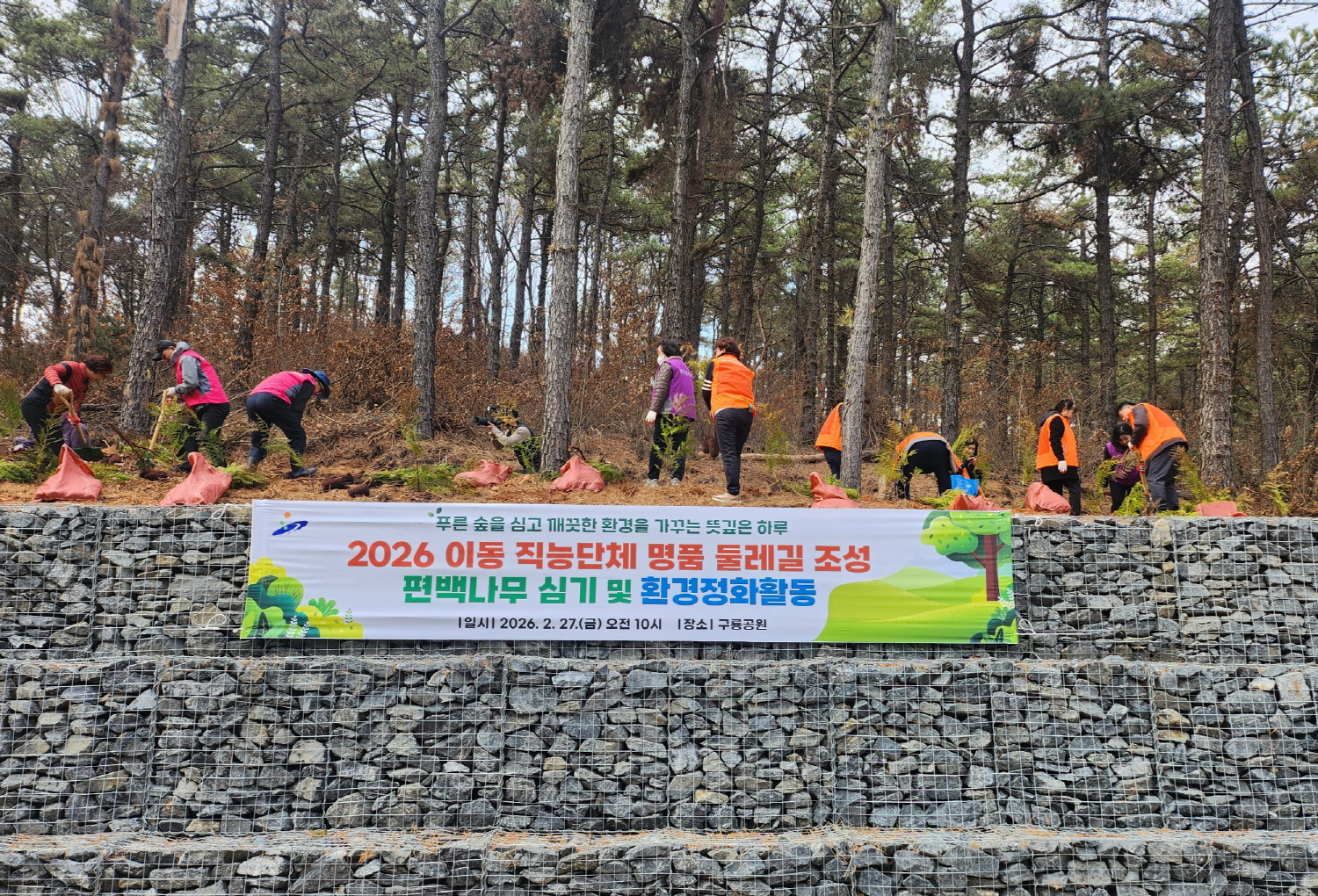 안산시 이동, 구룡공원 명품 편백나무 숲길 조성