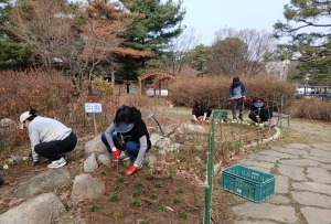 안산시 와동, 와리정원에 봄꽃으로 새단장