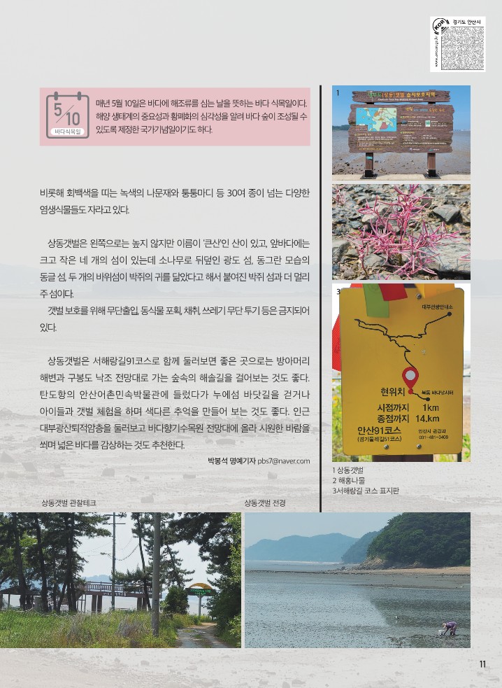 대부도의 보물 람사르 습지 상동갯벌