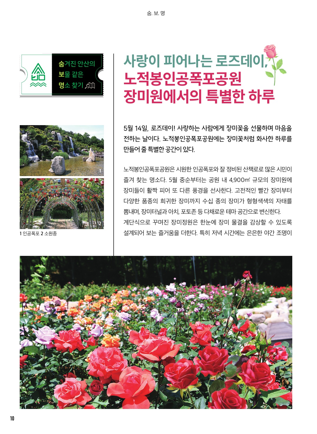 사랑이 피어나는 로즈데이, 노적봉인공폭포공원 장미원에서의 특별한 하루