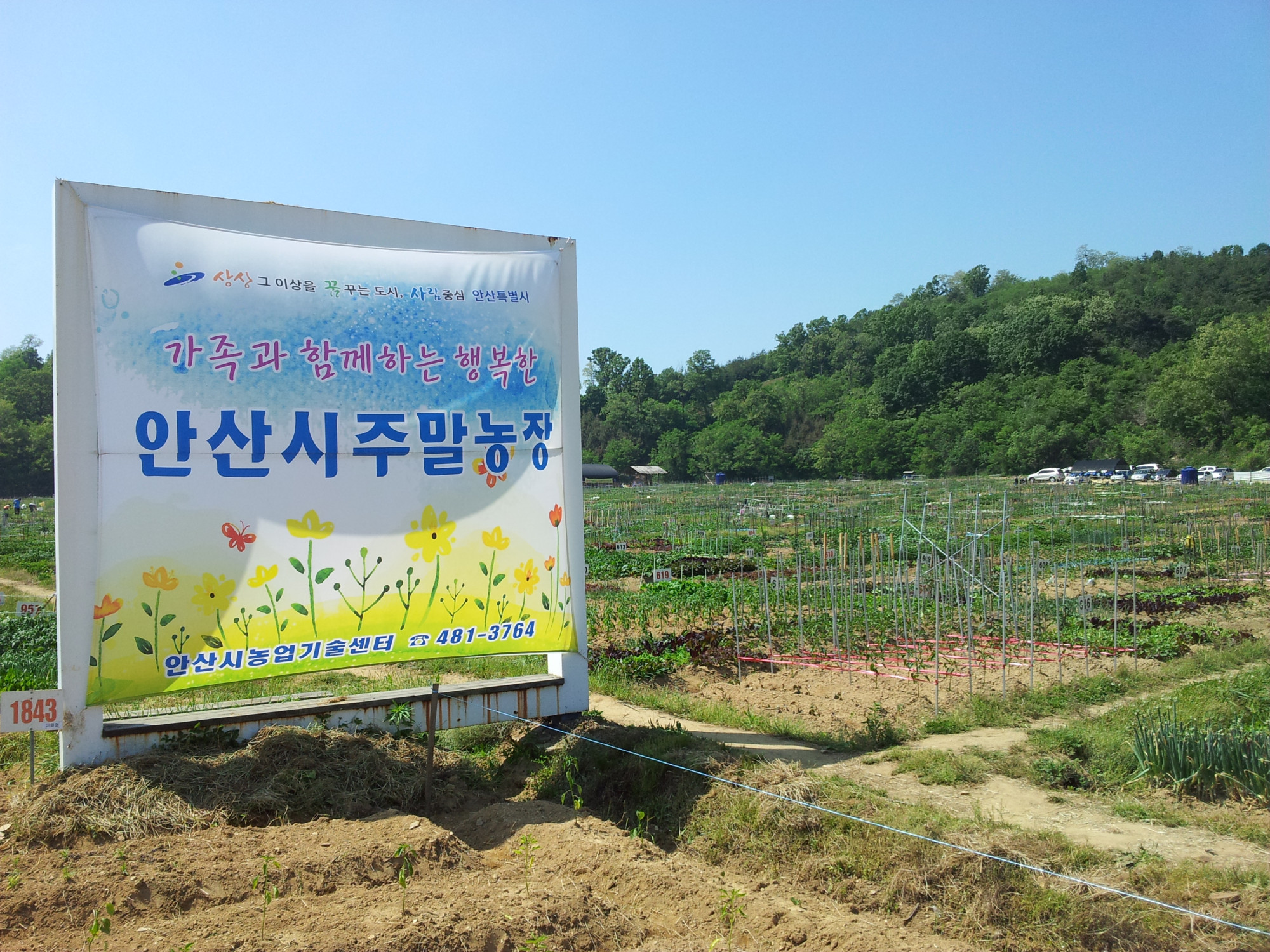 안산시 주말농장(도시농업농장) 신청 안내