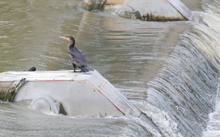자연과 사람이 함께하는 도심 속 휴식 공간