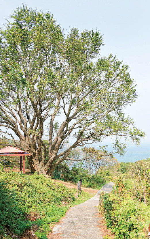 ‘안산 ’매력에 빠지다