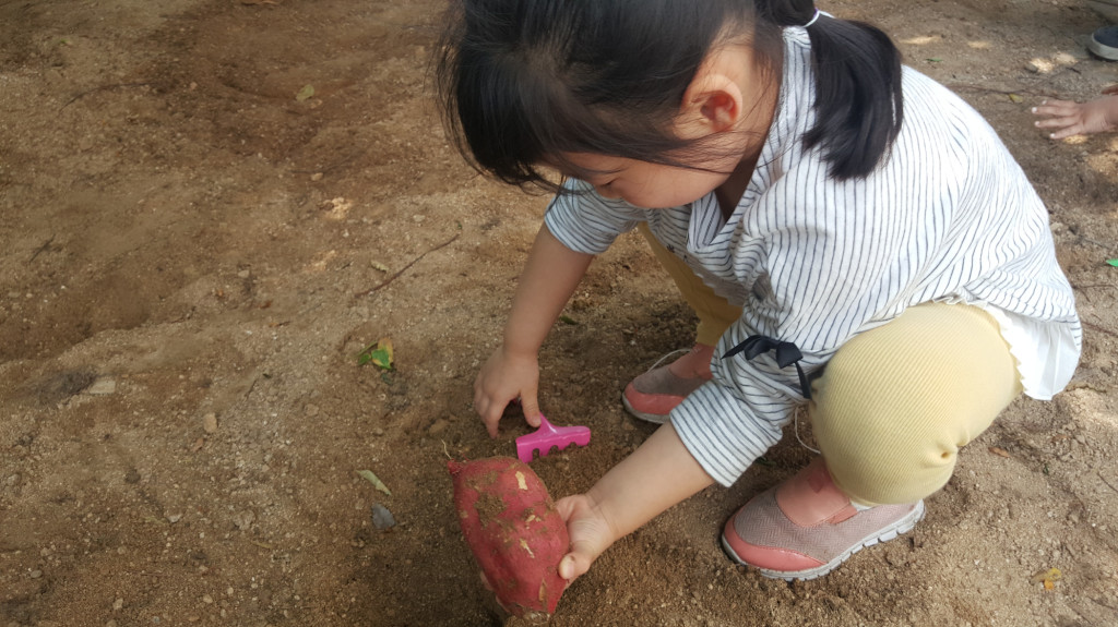 안산시농수산물도매시장 어린이 현장체험학습 운영