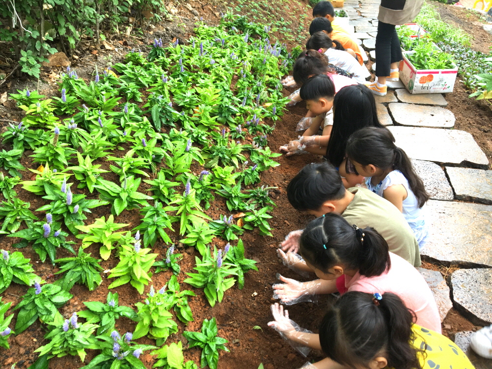 안산시 <문화재, 정원(庭園)을 품다> 프로그램 운영