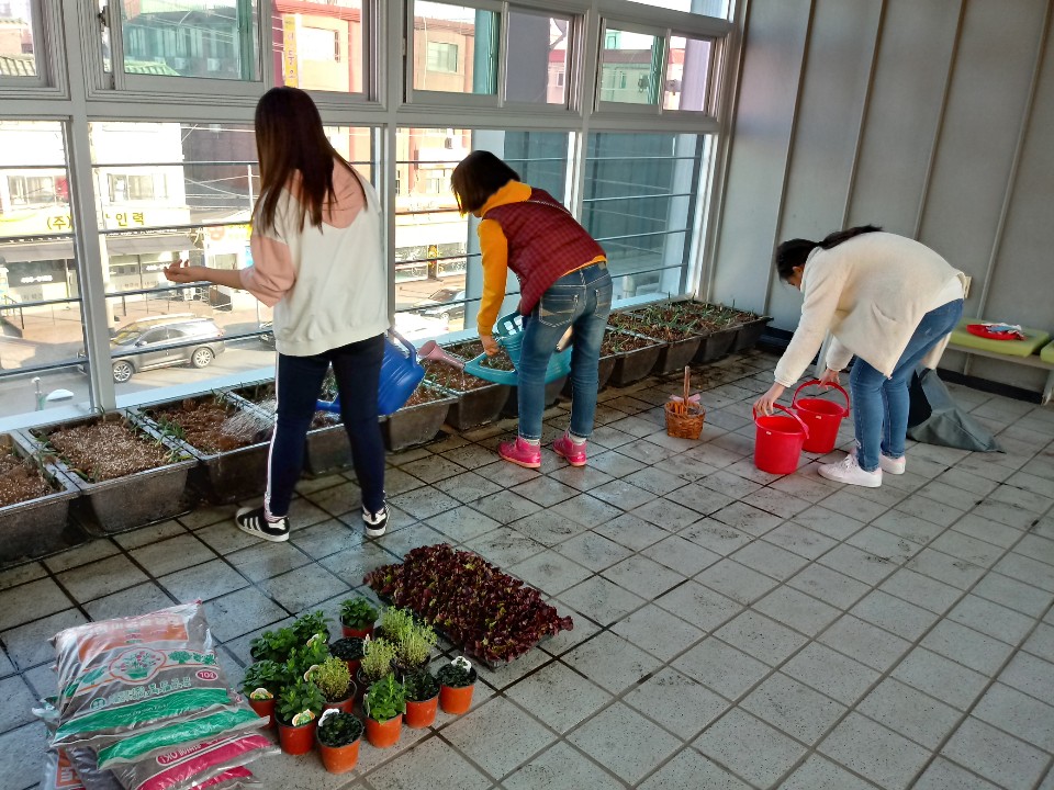 원곡동 청소년공부방 학생들 텃밭놀이터에서 먹거리 수확