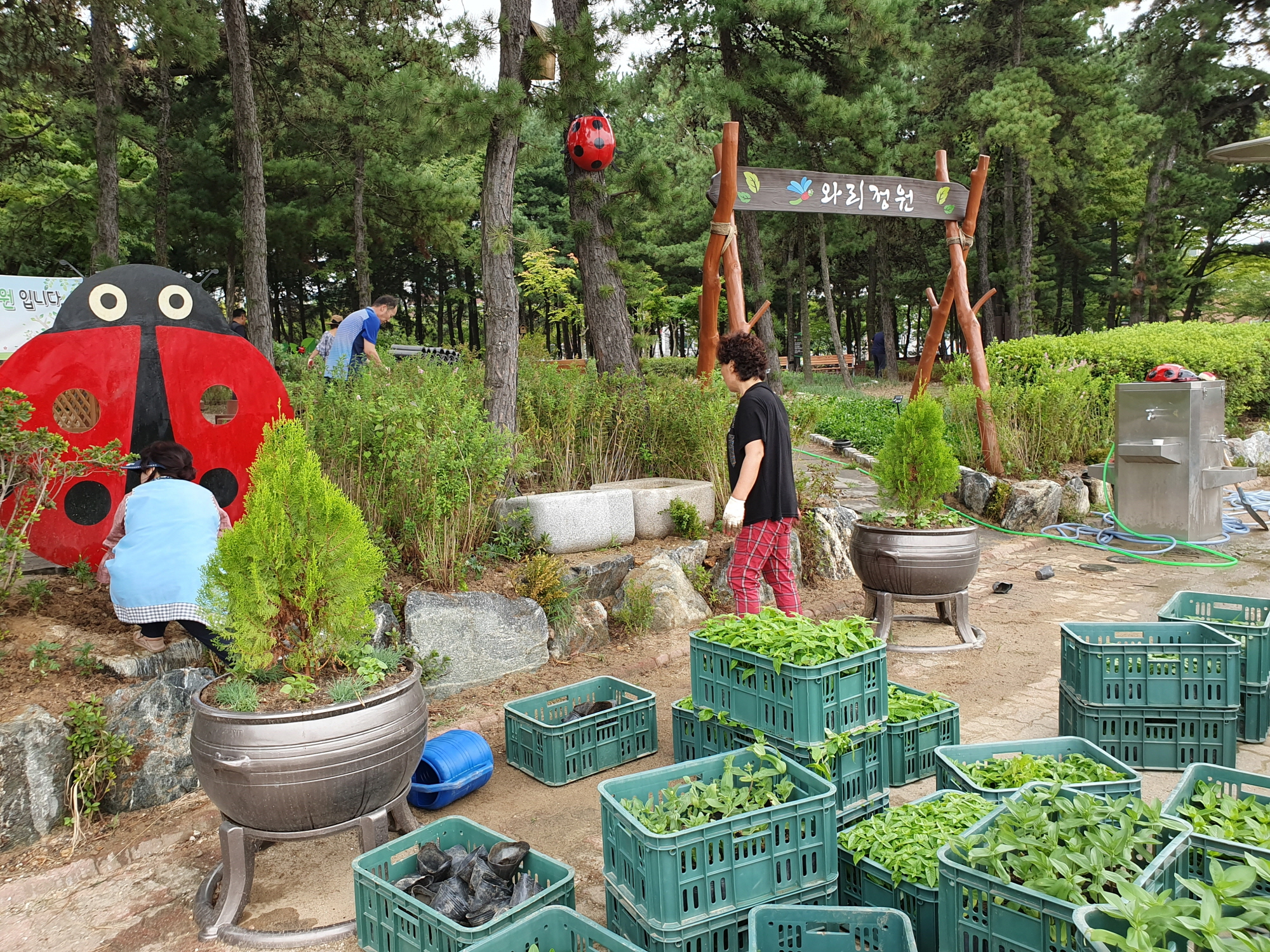 와동 ‘곤충 마을정원 축제’ 카운트다운 시작