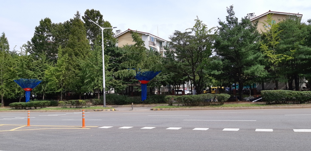 안산시, 가로수 은행 열매 활용한 나눔 실천