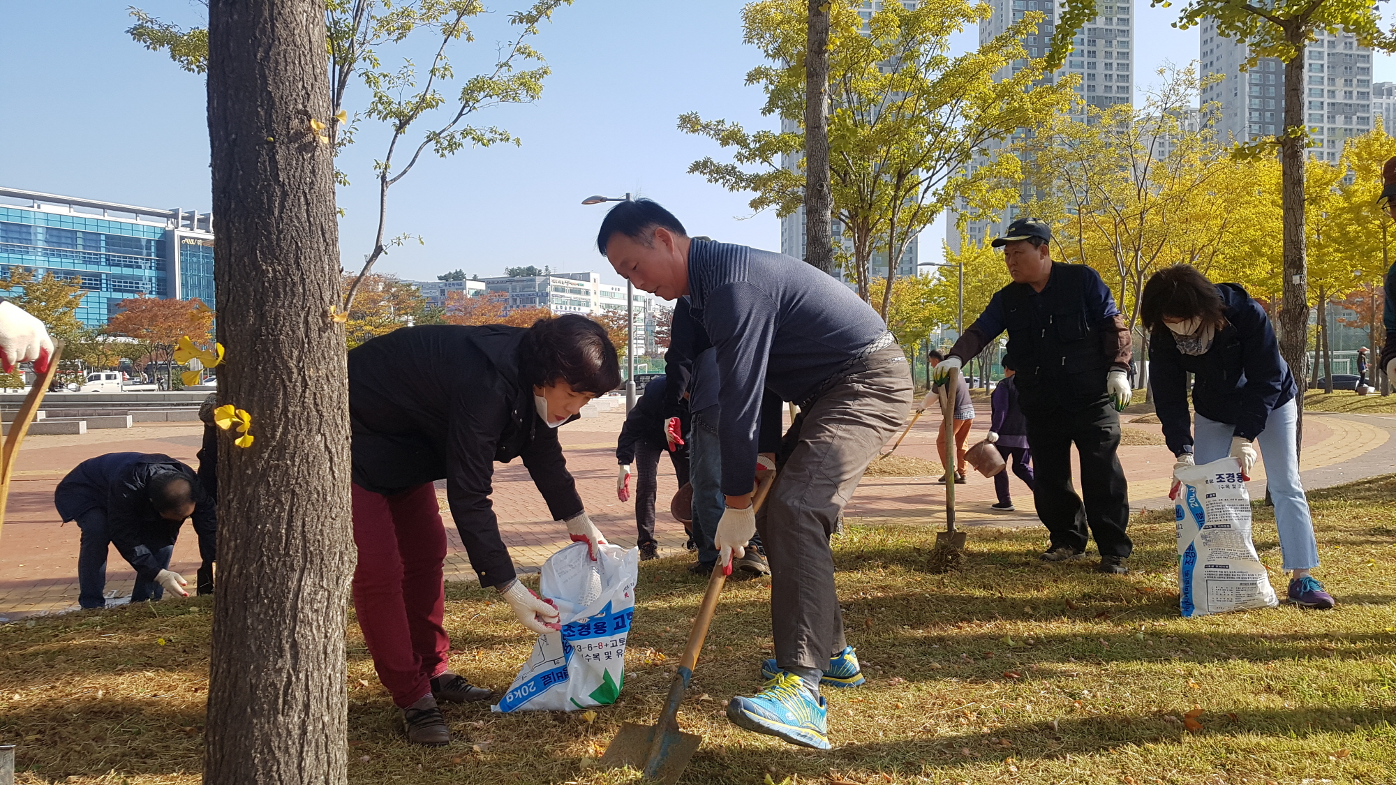 안산시 단원구, 2019 나무가꾸기 행사 개최
