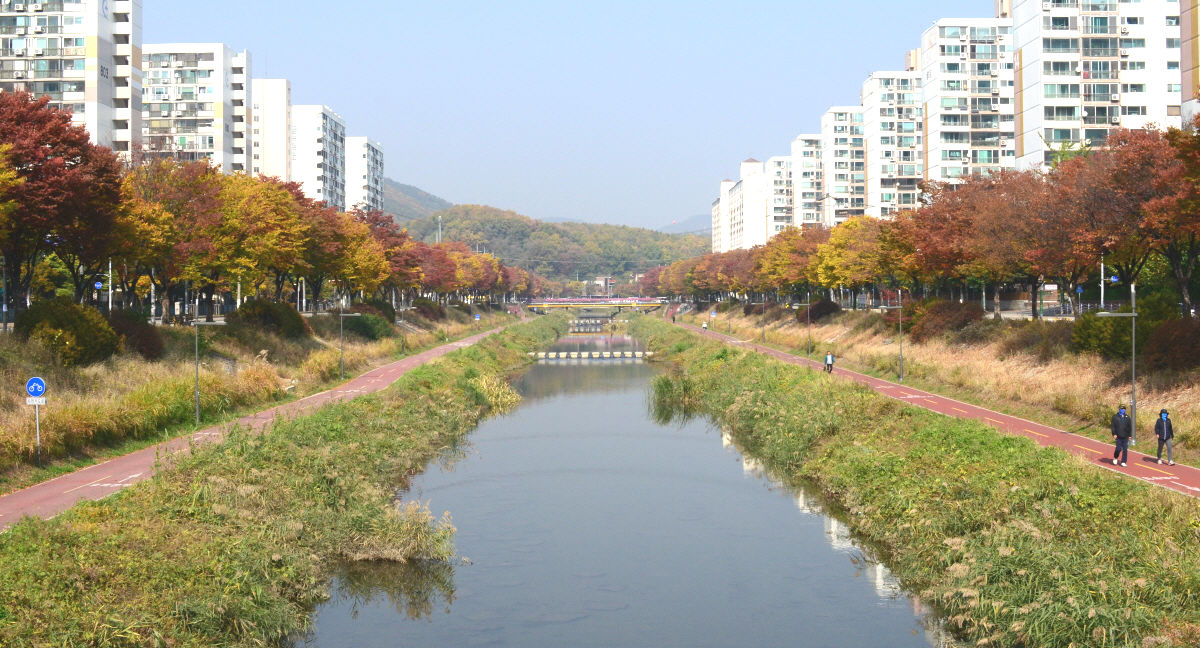 안산시 ‘안산천 수변생태벨트’ 조성사업  추진