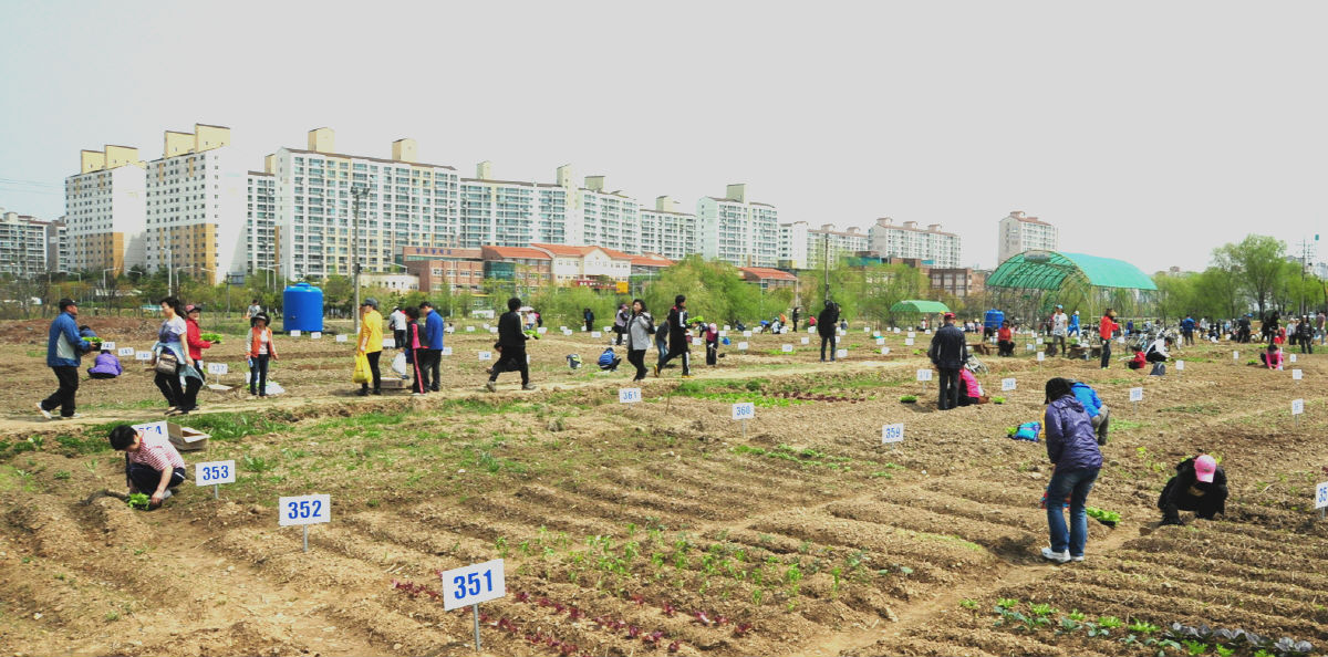 안산시 주말농장(도시농업농장) 분양 접수 안내