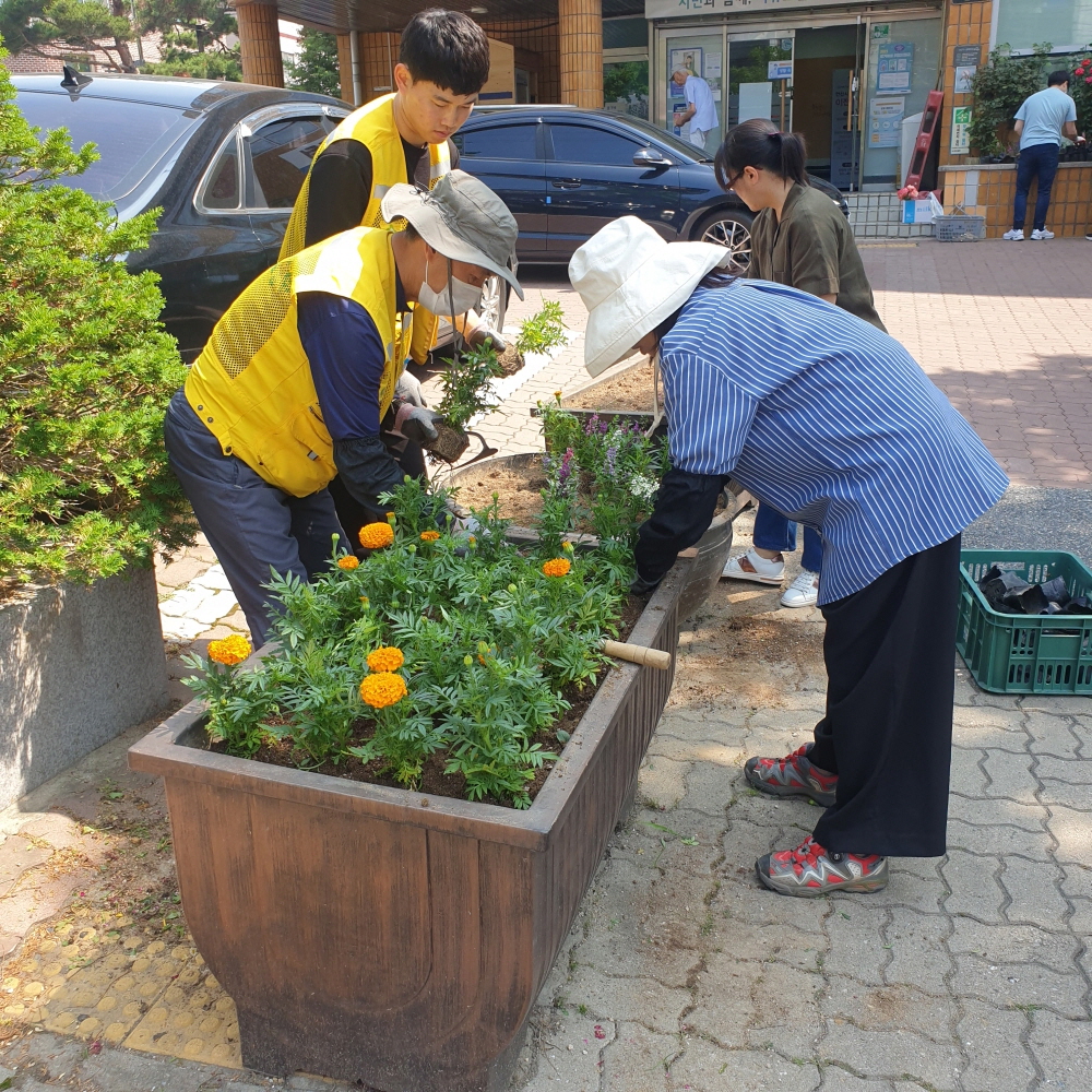 안산시 사동, 청사 주변 싱그러운 여름꽃 식재