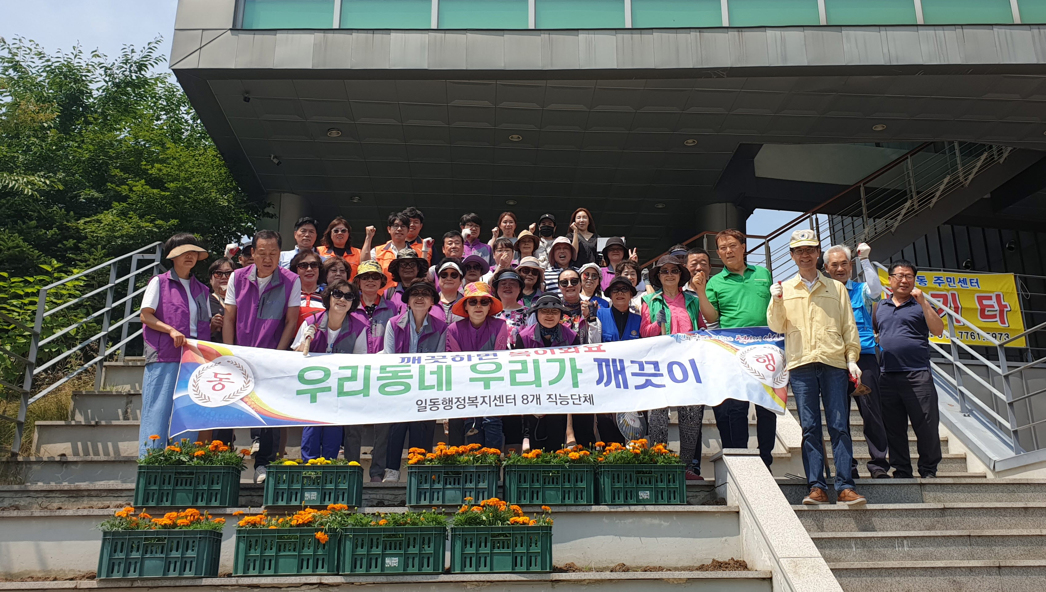 안산시 일동, 여름맞이 메리골드 500본 식재