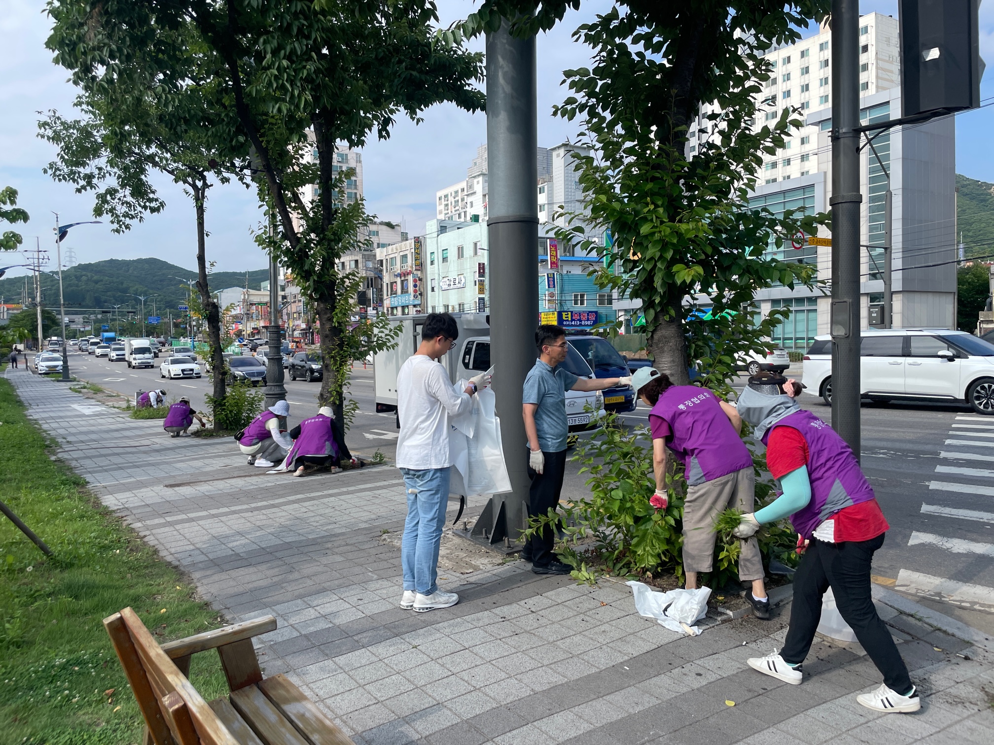 안산시 안산동 통장협의회, 잡초 제거로 깨끗한 거리 조성