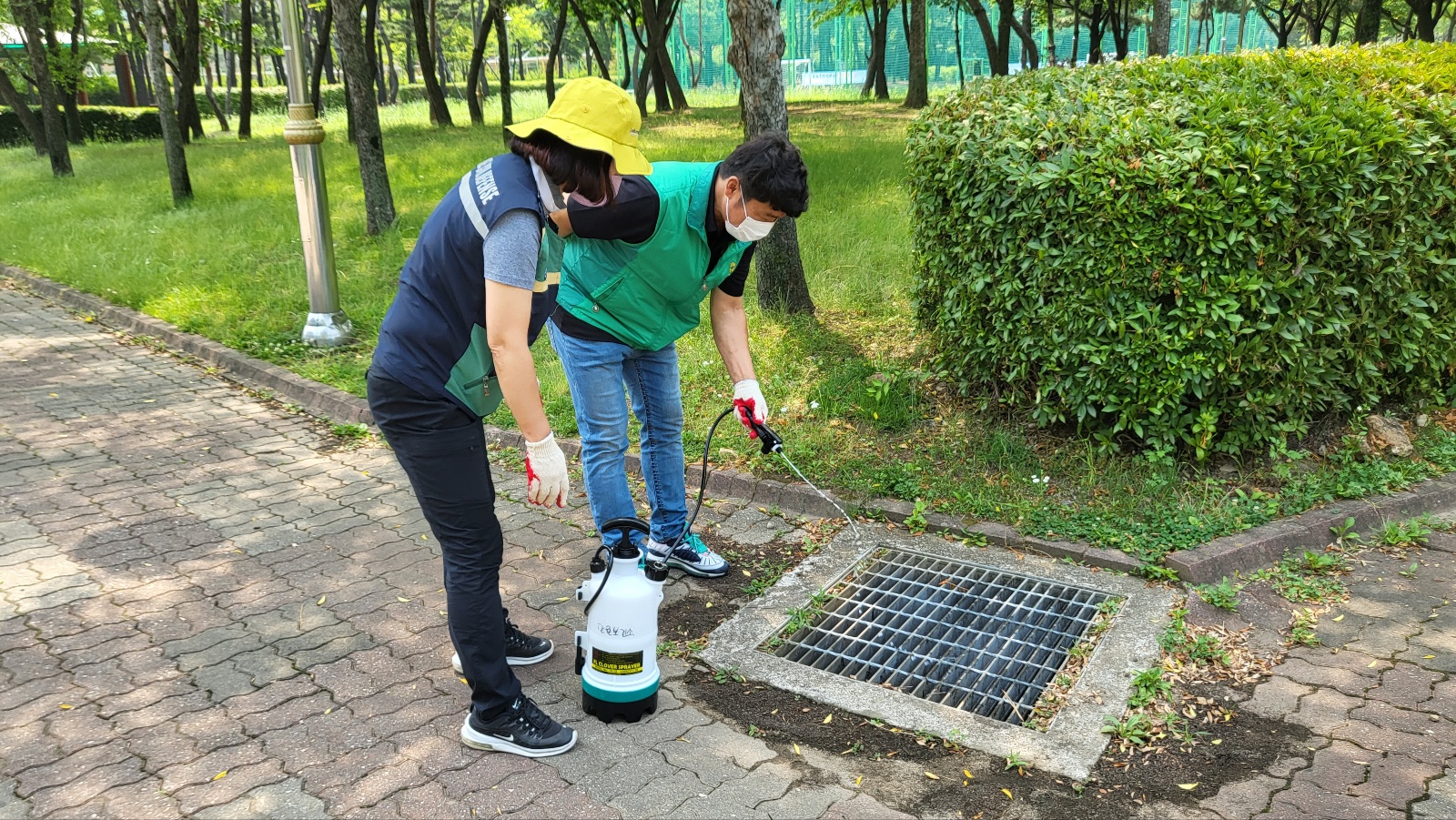 안산시 초지동 새마을회 자율방역단, 방역 활동 돌입