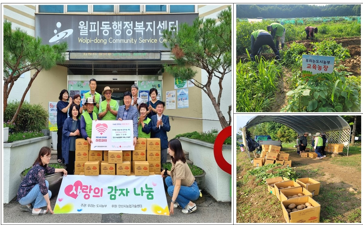 안산시 월피동, 안산 도시농업공동체‘우리는 도시농부’에서 감자 나눔 후원