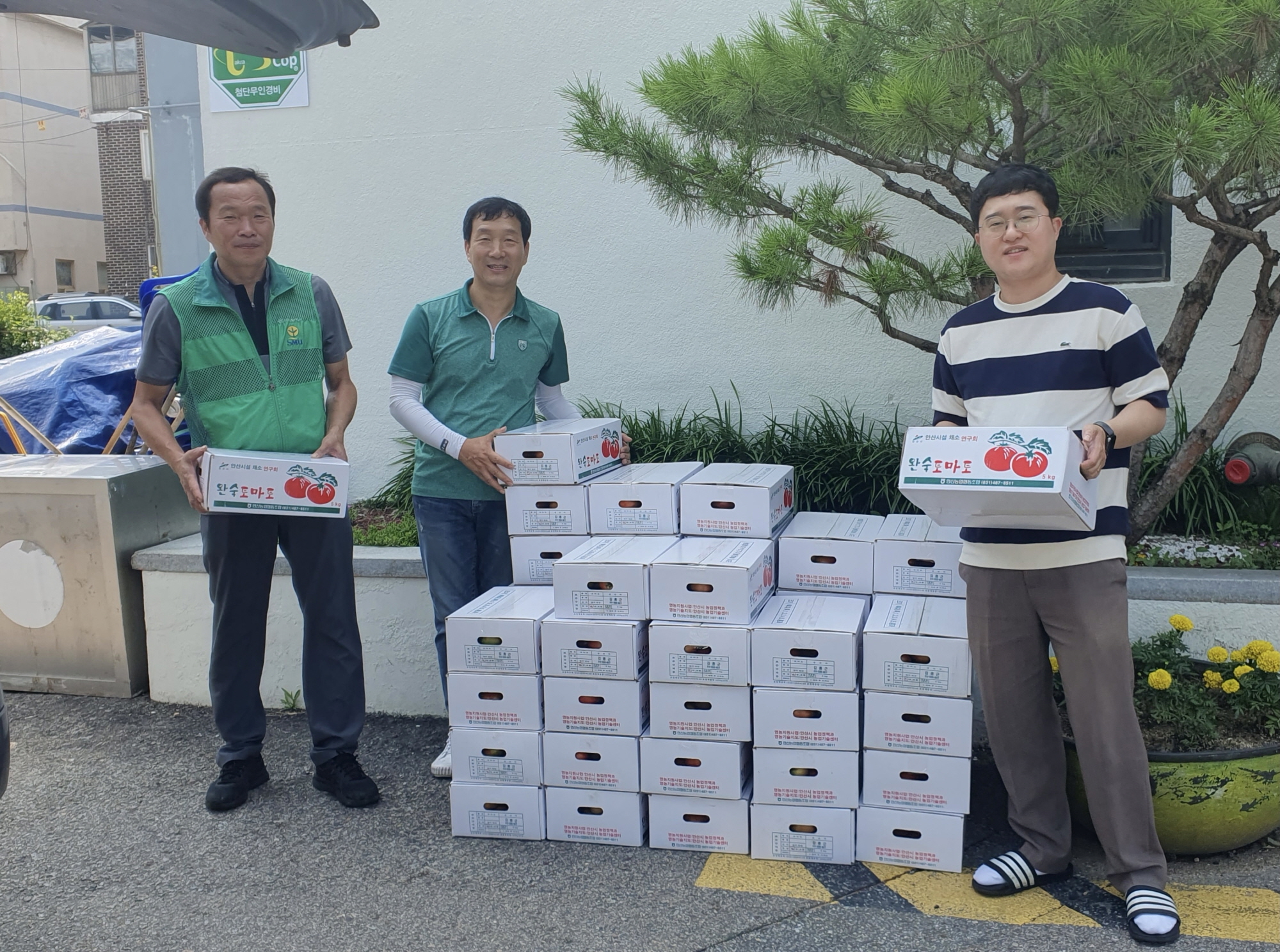 안산시 월피동 새마을회, 양상동 농가 돕기 토마토 판매 행사 개최