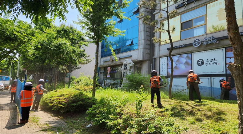 안산시 상록구, 여름철 가로수·녹지대 일제 정비… 환경개선 집중