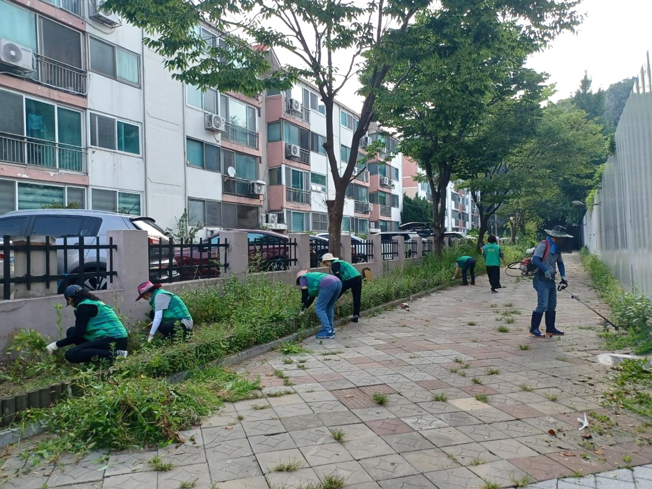 안산시 성포동 새마을회, 성포동 일대 제초 작업 실시