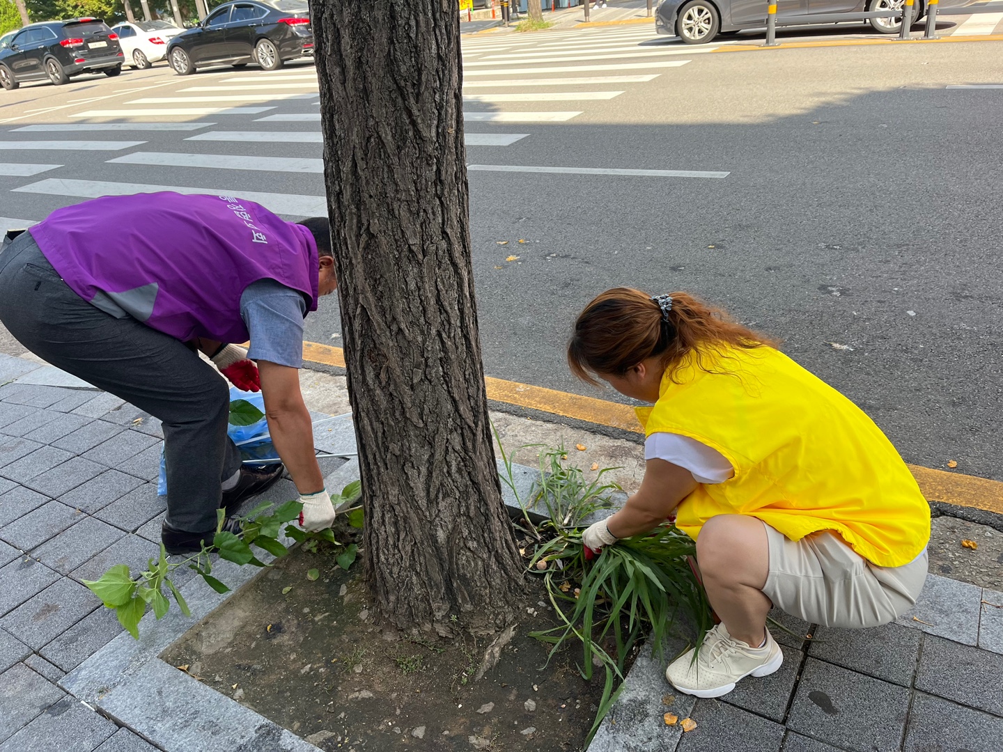 안산시 본오3동, 추석맞이 환경정화활동 실시