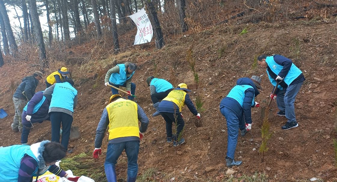 안산시 이동, 지역 주민들과 함께 편백나무 식재