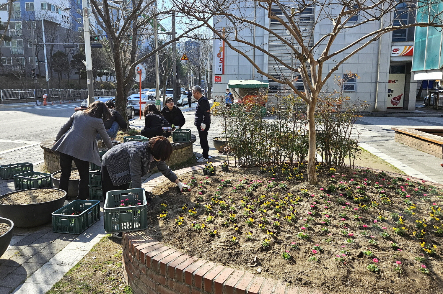 안산시 초지동, 청사에 봄꽃 향기 가득